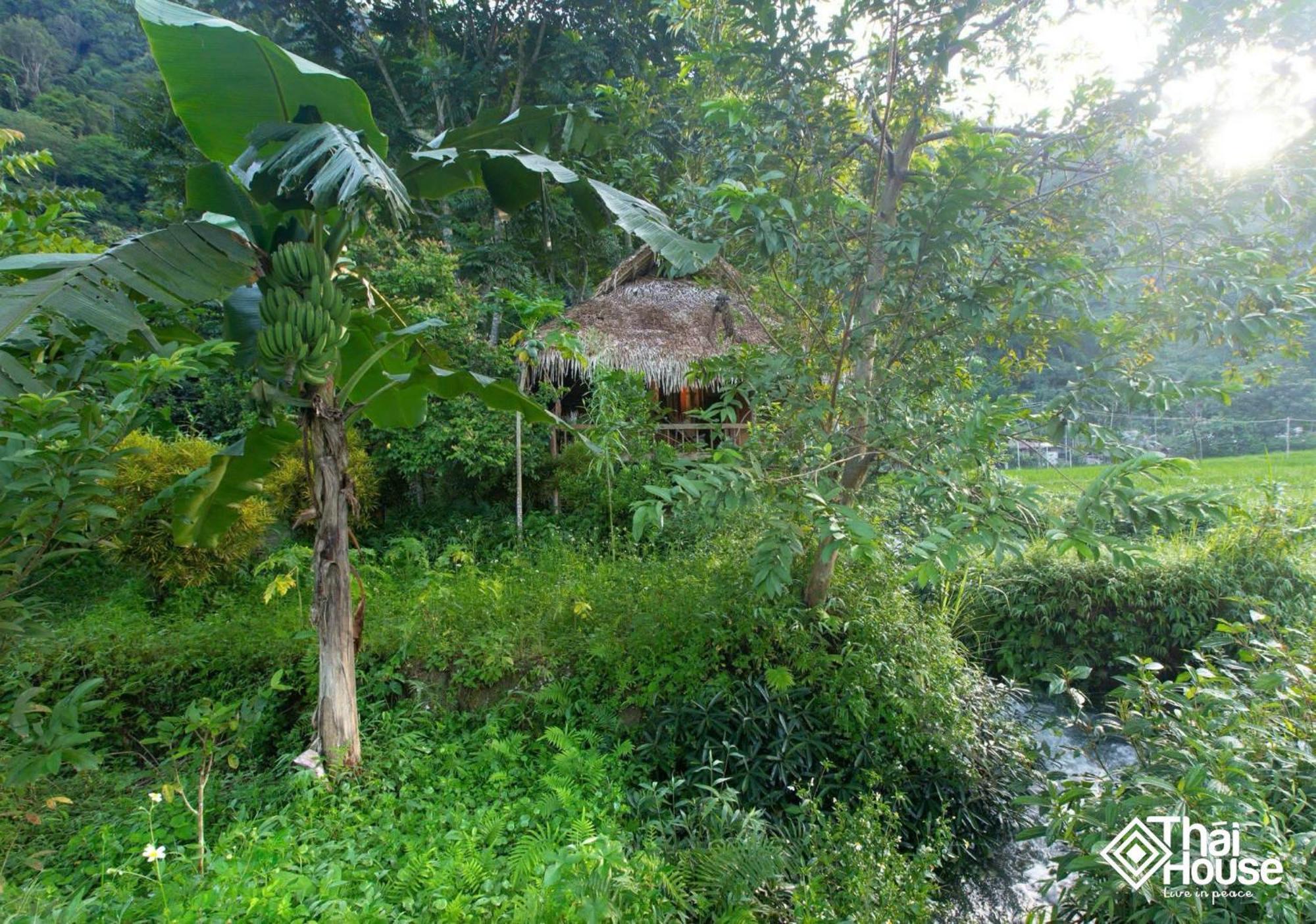 Thai House Pu Luong - Century Old Stilt House With Terrace Views Huong Ba Thuoc Kültér fotó